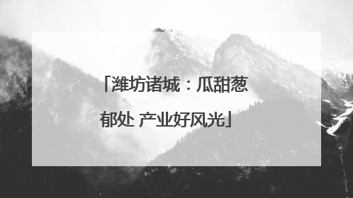 潍坊诸城：瓜甜葱郁处 产业好风光